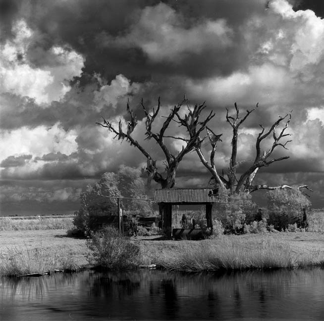 photo "Swamp Scene" tags: landscape, travel, North America, clouds