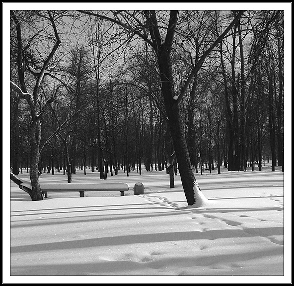 photo "Leonovo in Moscow" tags: architecture, landscape, winter