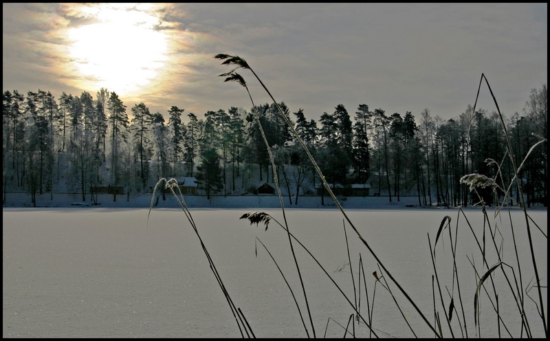 photo "Morning mood" tags: landscape, winter