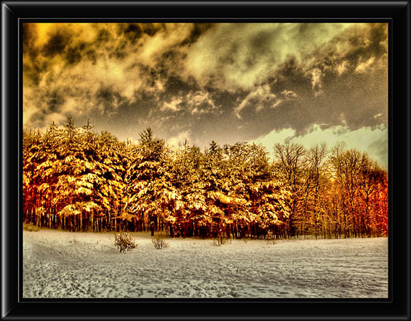 photo "sunset" tags: landscape, forest, winter