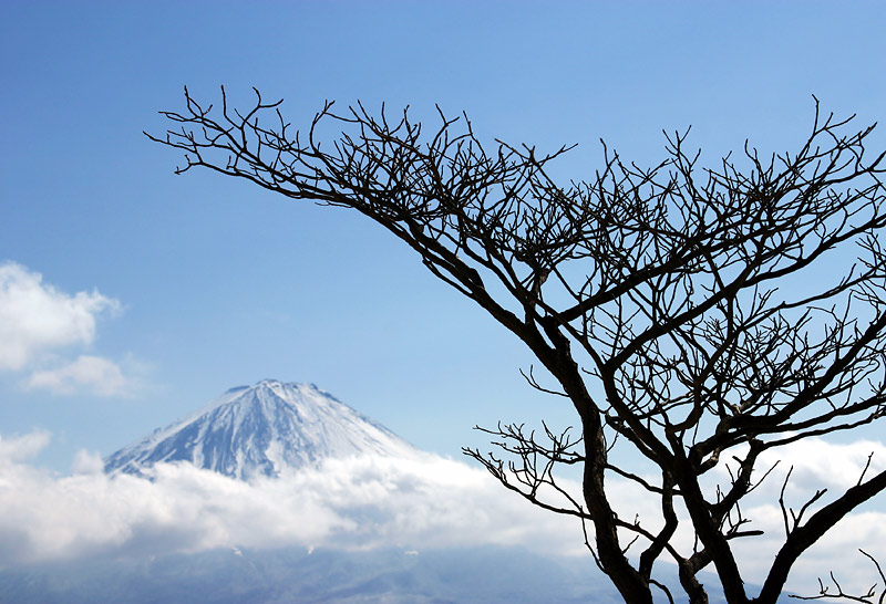 photo "View from Mount Onigatake" tags: landscape, mountains, winter