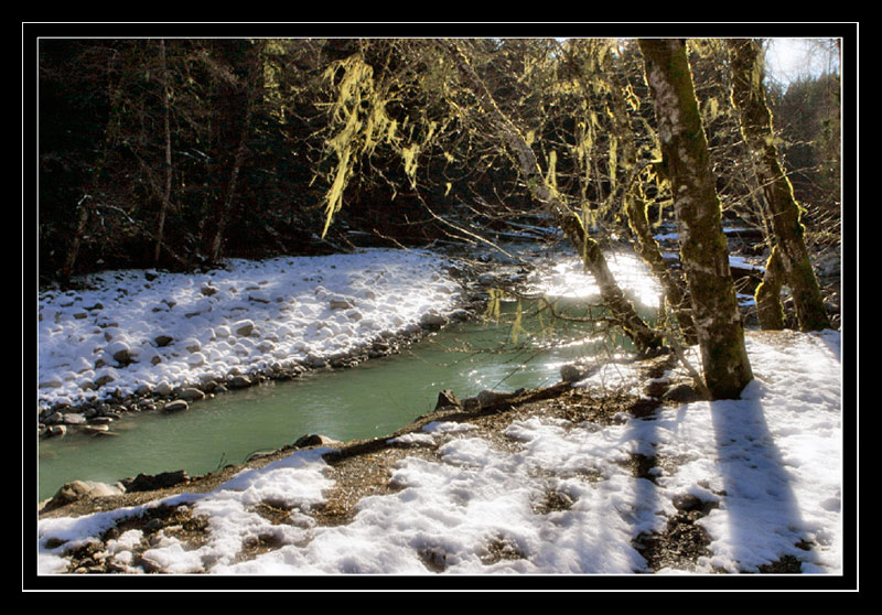 фото "Indian River" метки: пейзаж, вода, лес