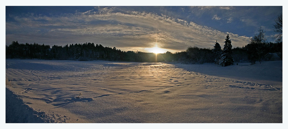 photo "Winter sun on Loholt" tags: landscape, winter