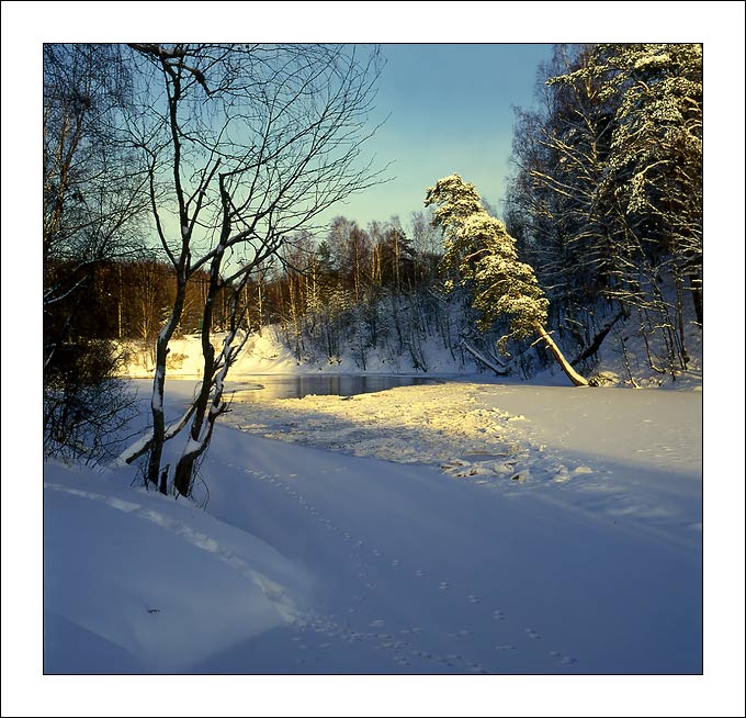 photo "Black small river" tags: landscape, water, winter