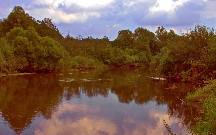 photo "****" tags: landscape, summer