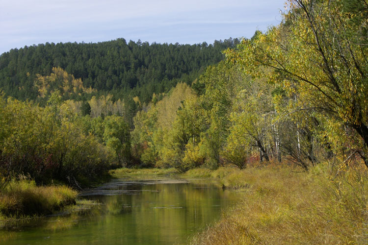 photo "Timber lake" tags: landscape, water