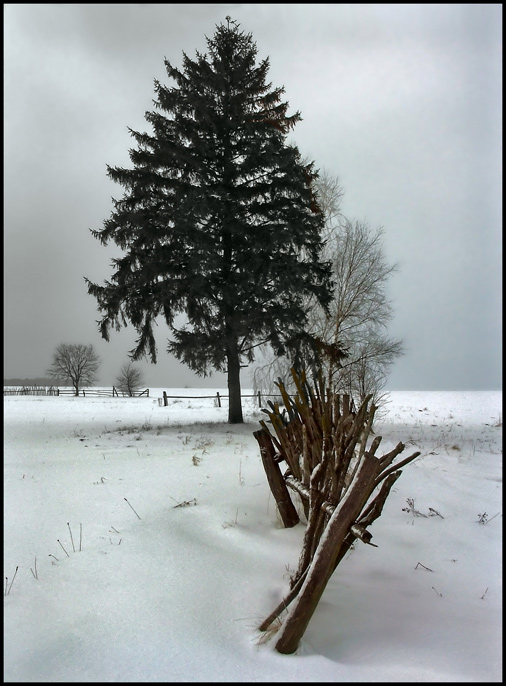фото "8-00" метки: пейзаж, зима