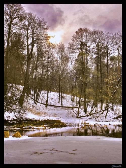 photo "Excitement" tags: landscape, winter