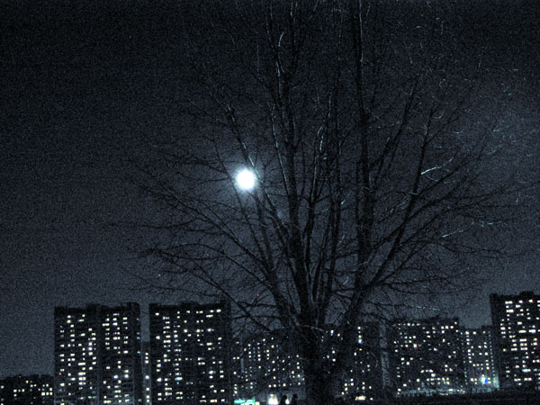 photo "the moon" tags: landscape, night