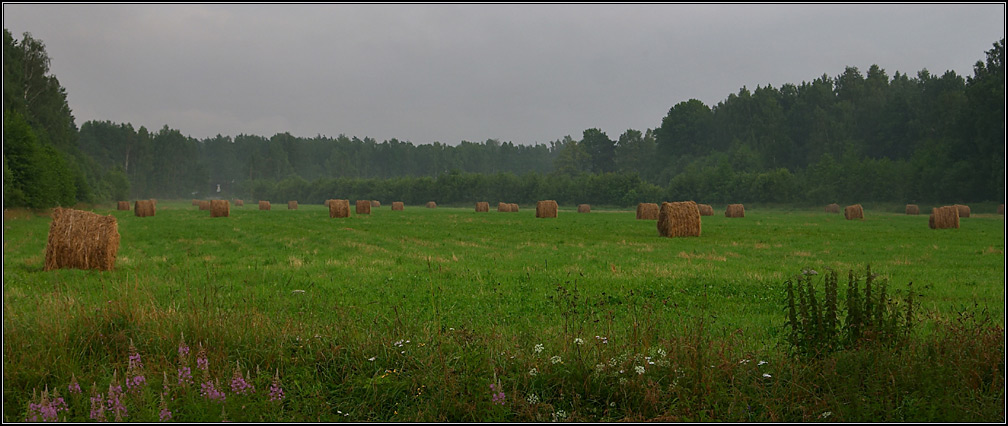 photo "About a summer" tags: landscape, summer