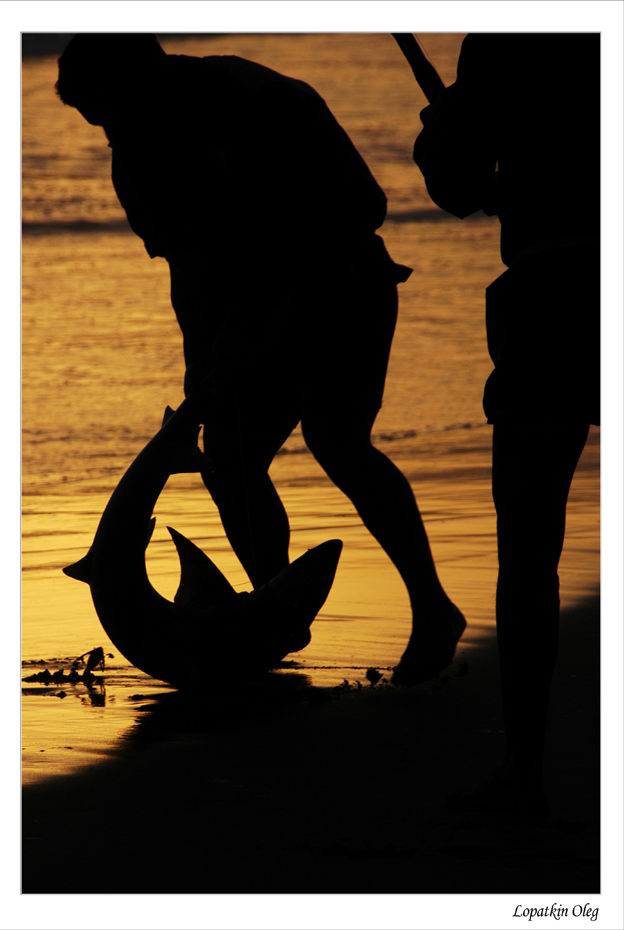 photo "Shark fishering, South Africa Rep." tags: travel, Africa