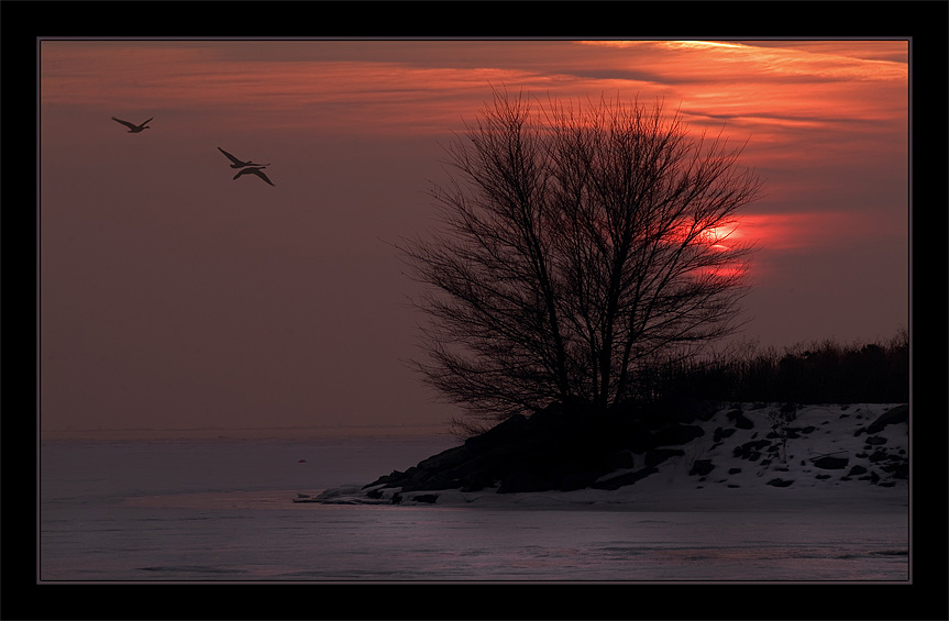 photo "Evening Flight" tags: landscape, sunset, winter