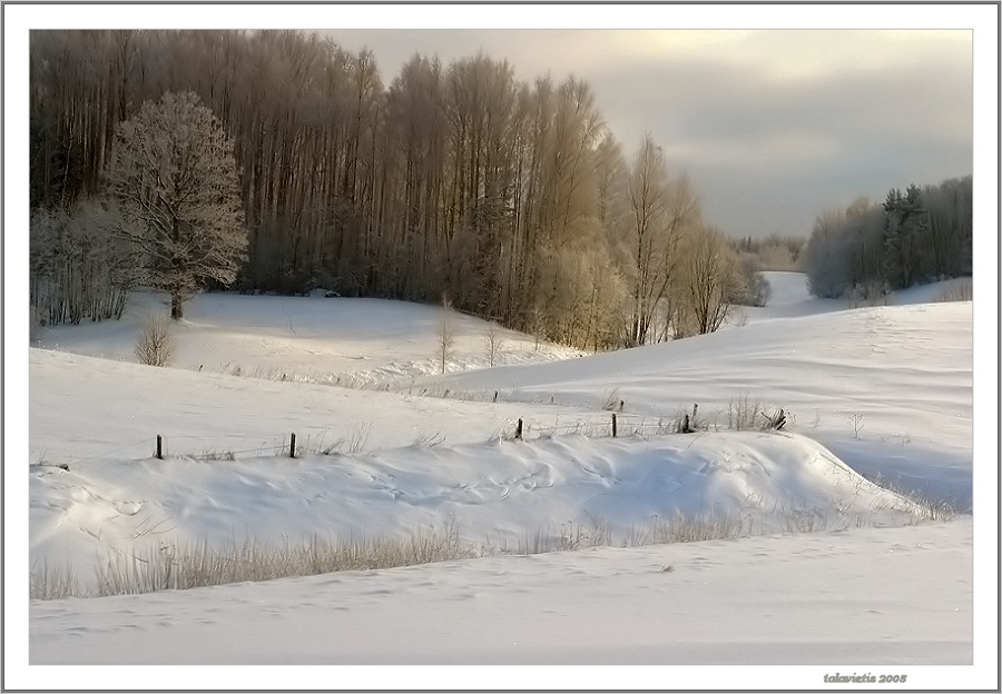 photo "*****(10)" tags: landscape, winter