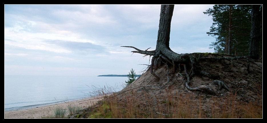фото "Вечер на Онежском озере" метки: пейзаж, путешествия, Европа, лето