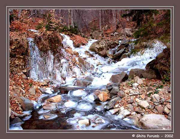 photo "Frosty river" tags: landscape, winter