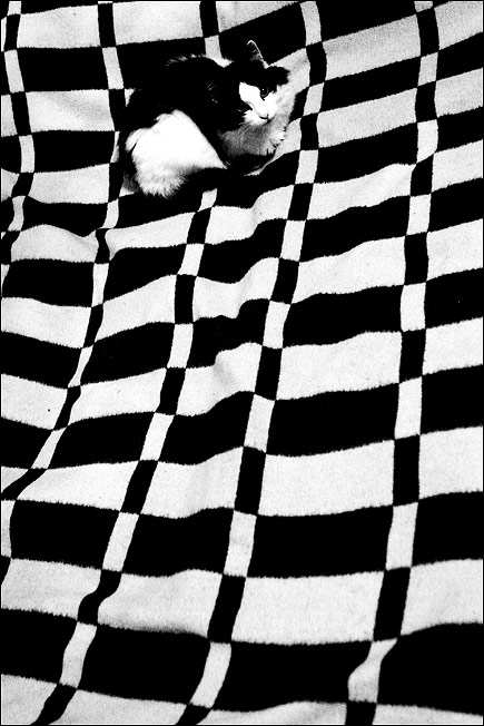 photo "IMG_6505" tags: black&white, abstract, 