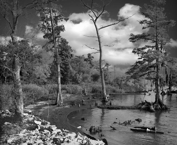 photo "Lakeshore" tags: landscape, water