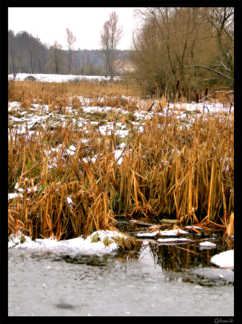 photo "The black river (the ending of a series)" tags: landscape, winter