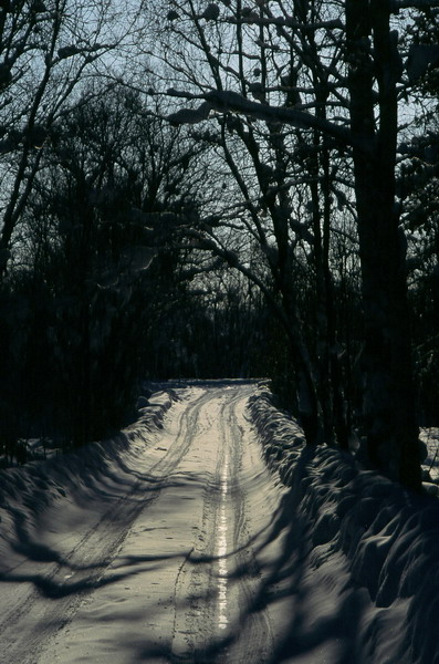 photo "Began!!!(it about spring)" tags: landscape, spring