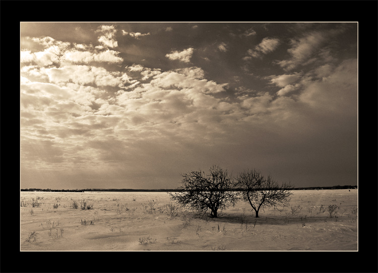 photo "Exile" tags: black&white, landscape, winter