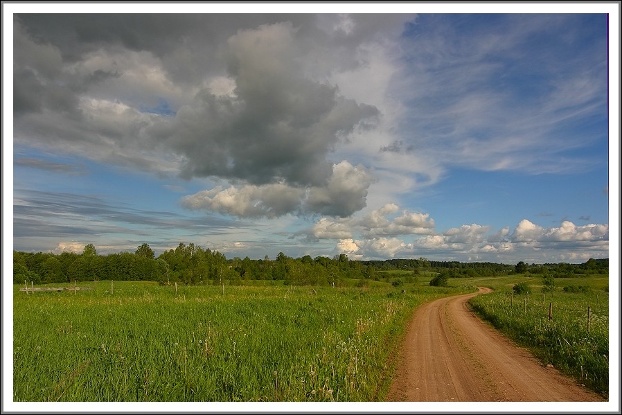 photo "Road (1)" tags: nature, 