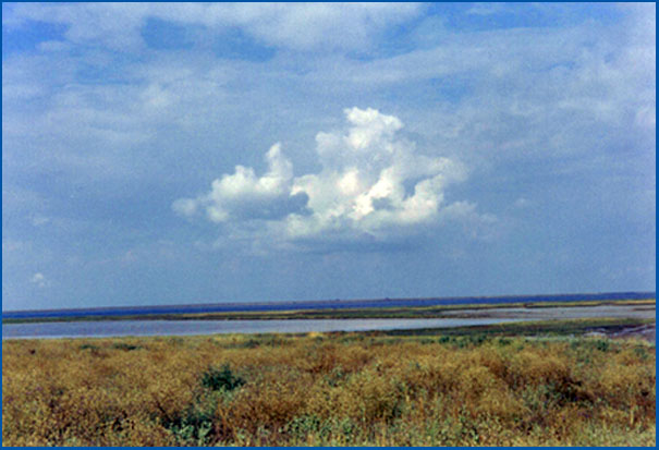 photo "King cloud" tags: landscape, nature, clouds