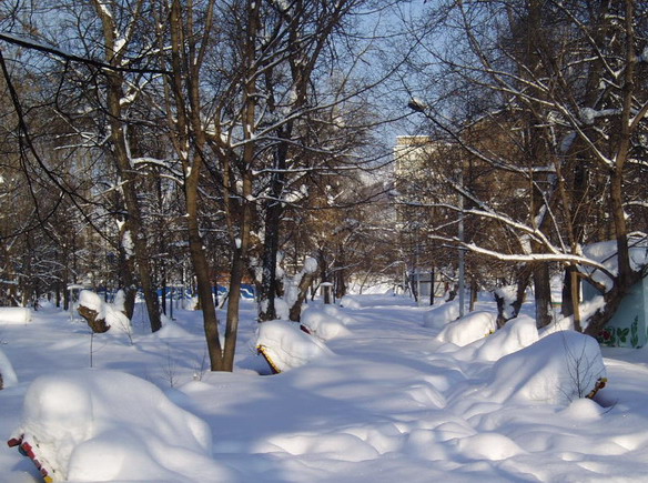 фото "Зимняя аллея" метки: пейзаж, зима