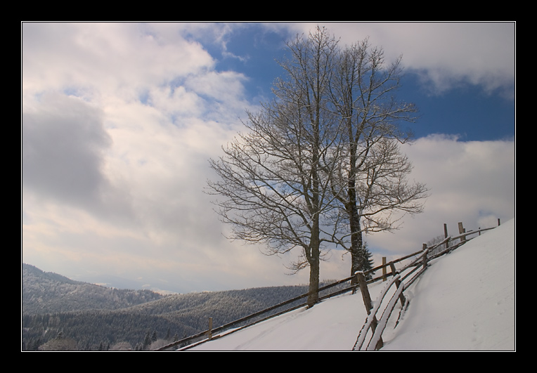 photo "Winter for a two..." tags: landscape, nature, winter