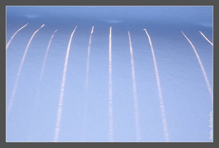 photo "tracks" tags: landscape, abstract, winter