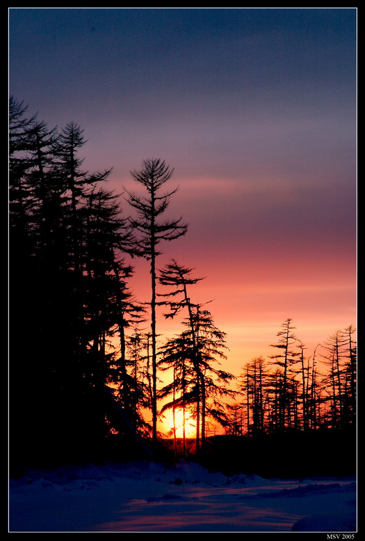 photo "wood sunset" tags: landscape, sunset, winter