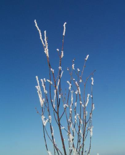 photo "Winter." tags: travel, Europe