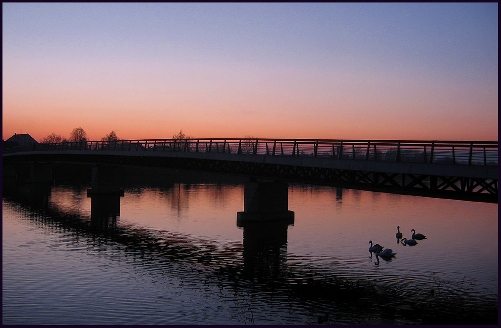 фото "Swan Ride" метки: пейзаж, закат