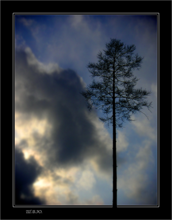 photo "already all the same..." tags: landscape, clouds, forest