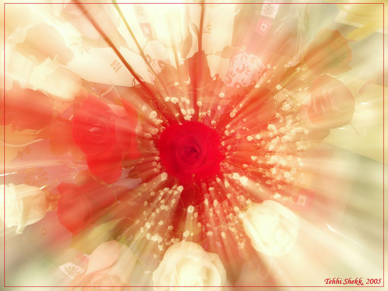 photo "Happy woman`s day!!!" tags: abstract, 