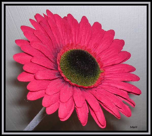 photo "My flower." tags: montage, 