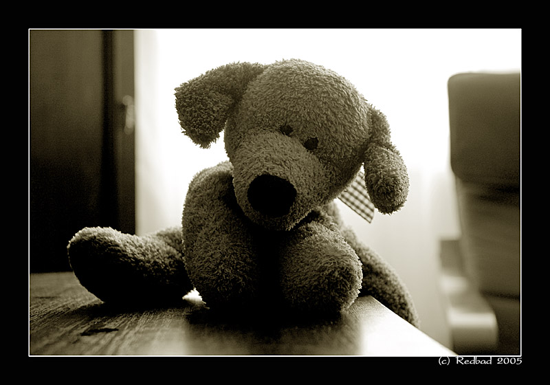 photo "Happy Celebration! I made it :)" tags: genre, humor, 