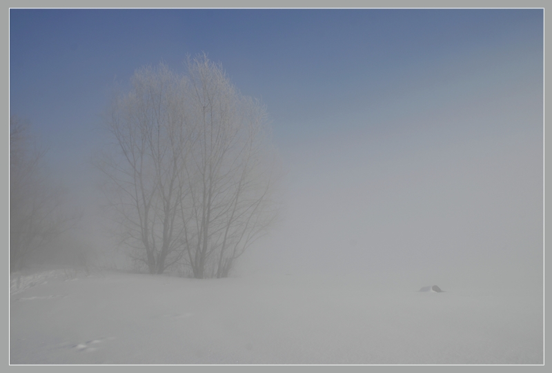 photo "Foggy drawing 3" tags: nature, 