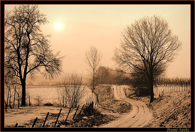 фото "Borgloon Belgium" метки: пейзаж, закат, зима