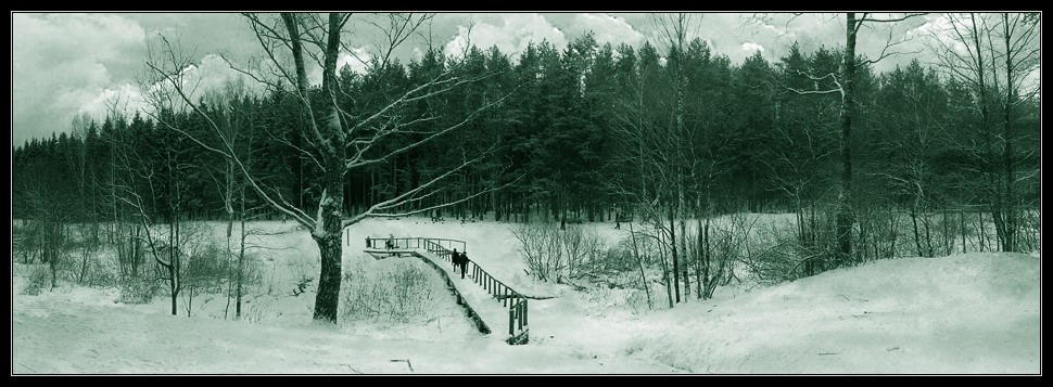 photo "February" tags: landscape, forest, spring