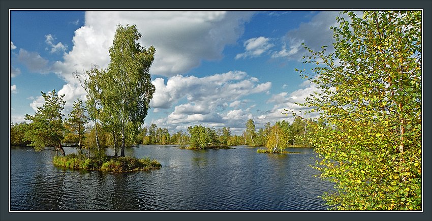 photo "Bright Autumn picture" tags: landscape, autumn, water