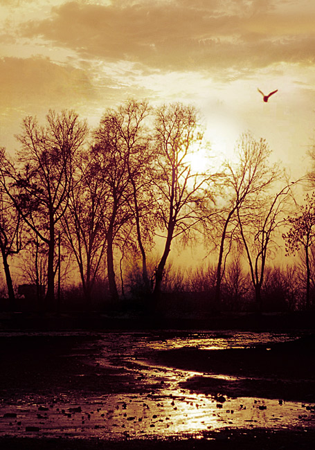 photo "The evening" tags: landscape, nature, sunset