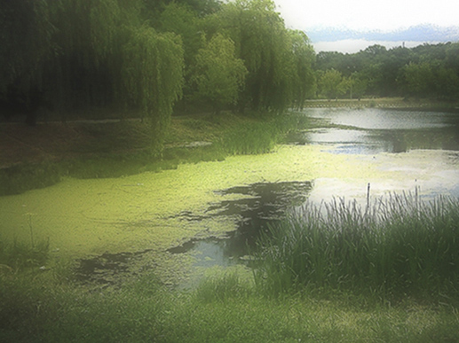 photo "Morning of August" tags: landscape, summer