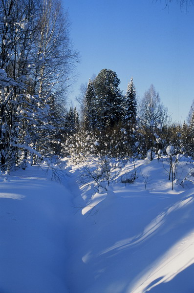 photo "March on court yard" tags: landscape, spring