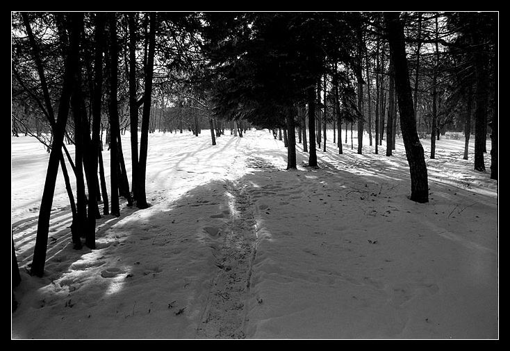 photo ".." tags: black&white, landscape, winter