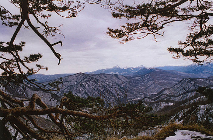 photo "The spring" tags: landscape, mountains, spring