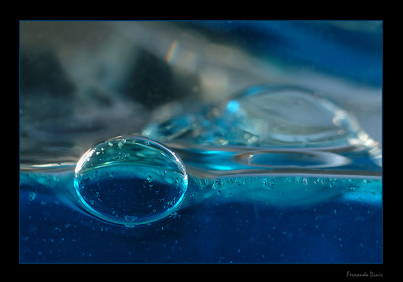 photo "Bubble" tags: macro and close-up, still life, 