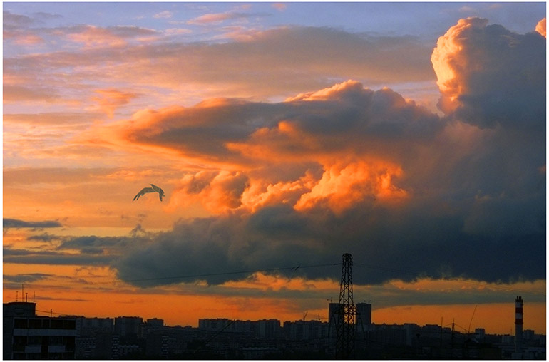 photo "The pilot for a dragon" tags: landscape, sunset