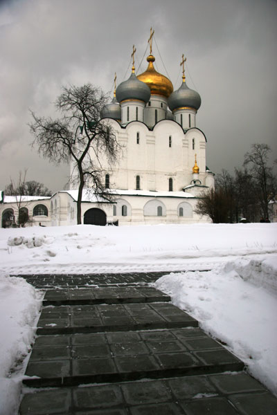photo "Novodevichy" tags: architecture, montage, landscape, 
