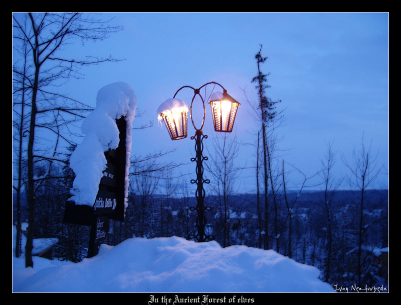 photo "In the Ancient Forest of elves" tags: travel, landscape, Europe, winter