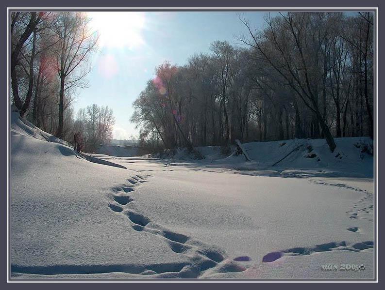 photo "White silence" tags: landscape, winter